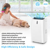 Portable Air Conditioner, 14000 BTU 4 in 1 AC Unit with Cool, Fan, Heat & Dehumidifier